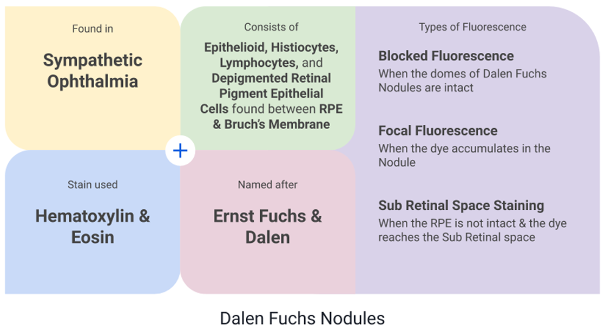 Dalen Fuchs Nodules